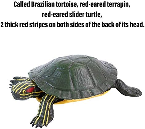 Framendino, 2 Csomag Piros Fülű Terrapin Brazil Teknős Vörös Fülű Csúszka Teknős Népszerű Pet Dekoráció Fiúk, Lányok