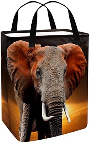 Vadon élő Állat, Elefánt Naplemente Nyomtatás Összecsukható Szennyesben, 60L Vízálló Szennyes Kosarat Mosás Bin Ruhák, Játékok