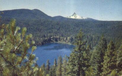 A Mount Washington Washington Képeslap