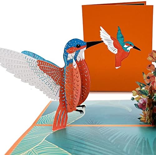 3D felugró Kártya Kolibri (Kolibri)